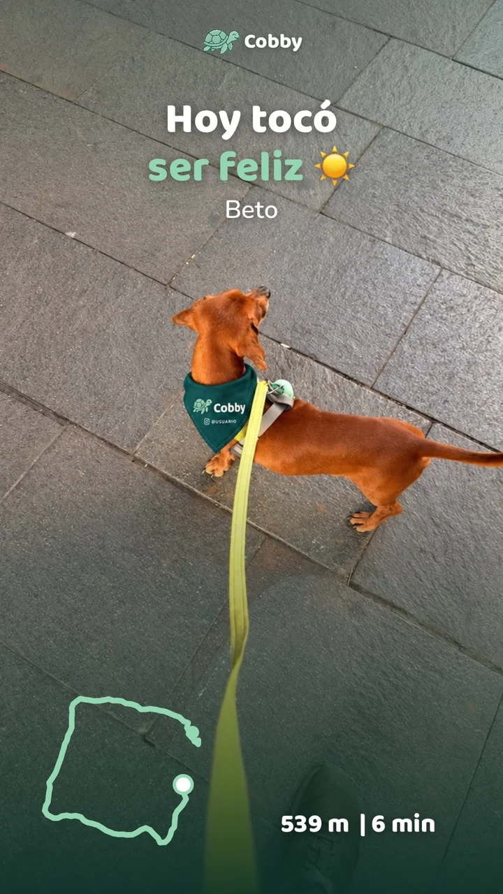 Historia de un paseo de Beto lista para compartir: 539 metros en 6 minutos